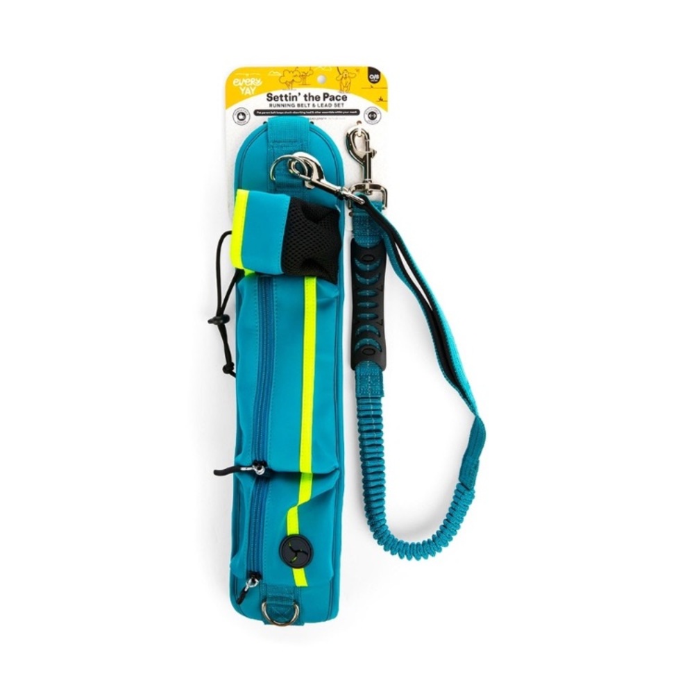 EveryYay Settin' The Pace, Running Belt and Lead / Leash Set for Dogs NEW!!